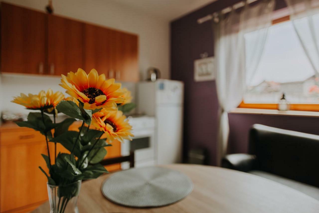 Apartmani Marin Vukovar Eksteriør billede